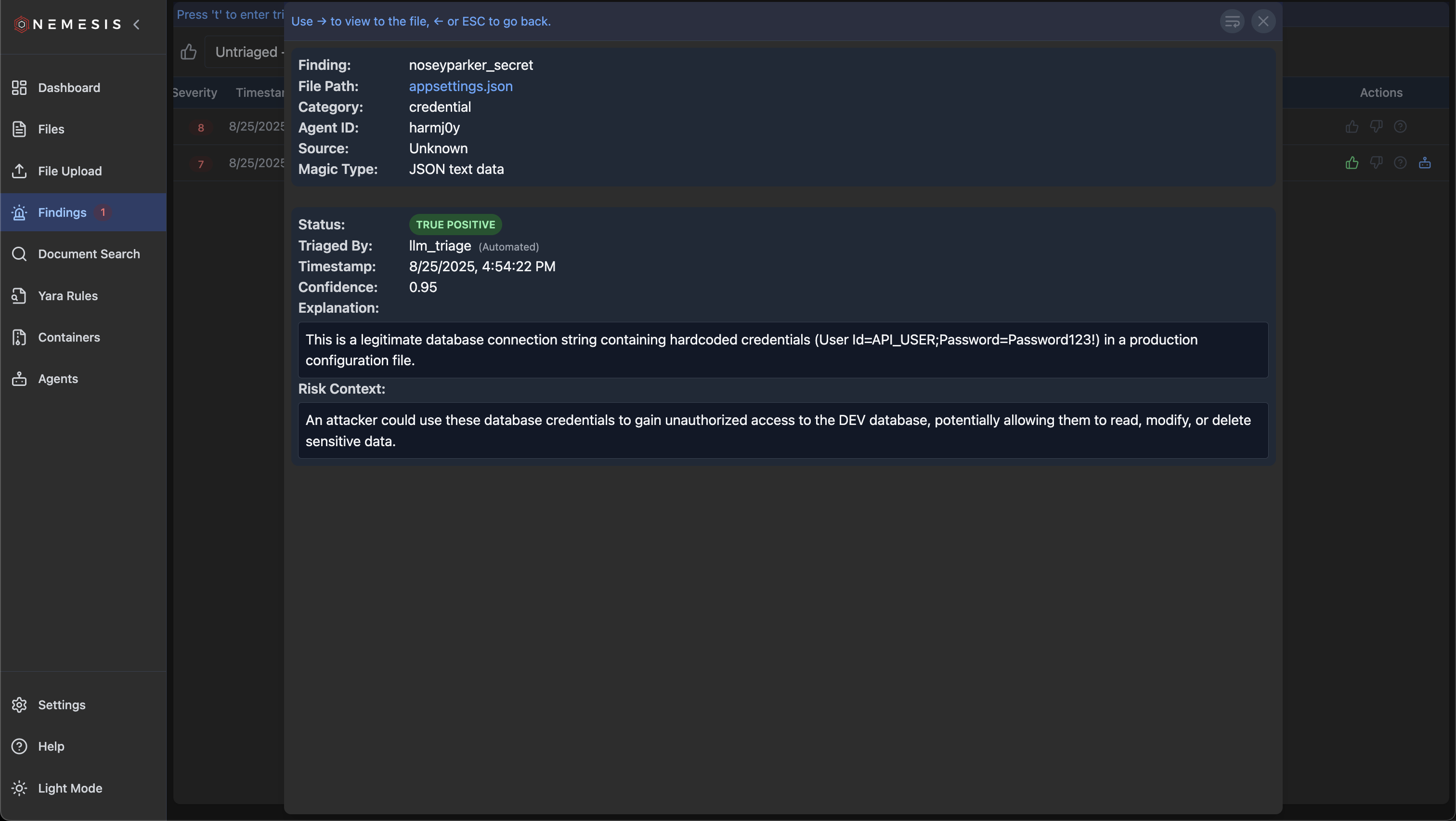 True Positive Finding Details