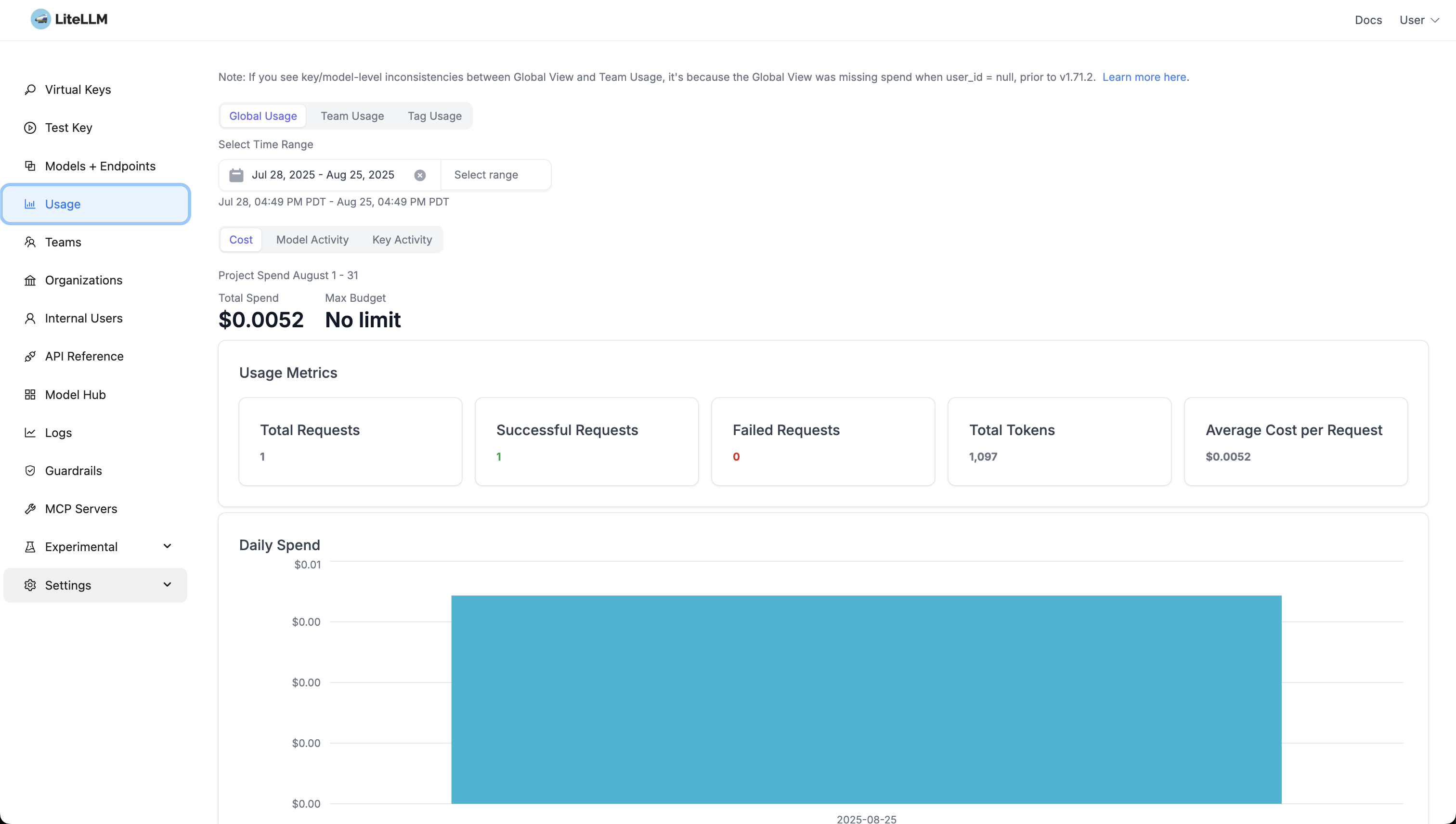 LiteLLM Main Interface